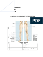 Assigment Anatomi Lower Part of The Body (Riska Ramadani)