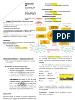 Resumo 1 Adm. G.