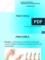 Prezentare.fractura