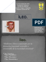 Íleo