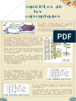 Movimientos de Los Fotoasimilados