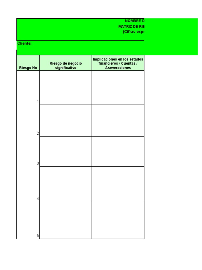 Matriz de Riesgos Formato | PDF | Auditoría | Servicios financieros