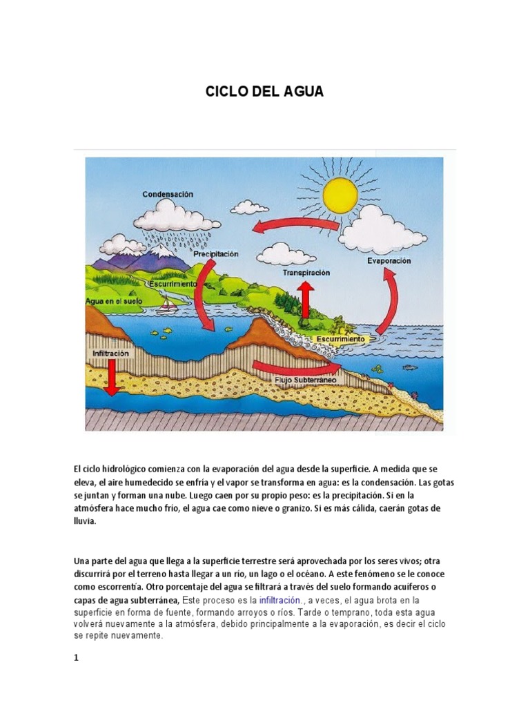 Ciclo Del Agua Dibujo y Contenido | PDF | El ciclo del agua | Evaporación