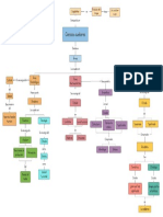 Mapa Conceptual Lengua Materna