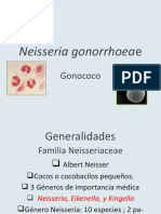 12neisseria Gonorrhoeae ENF