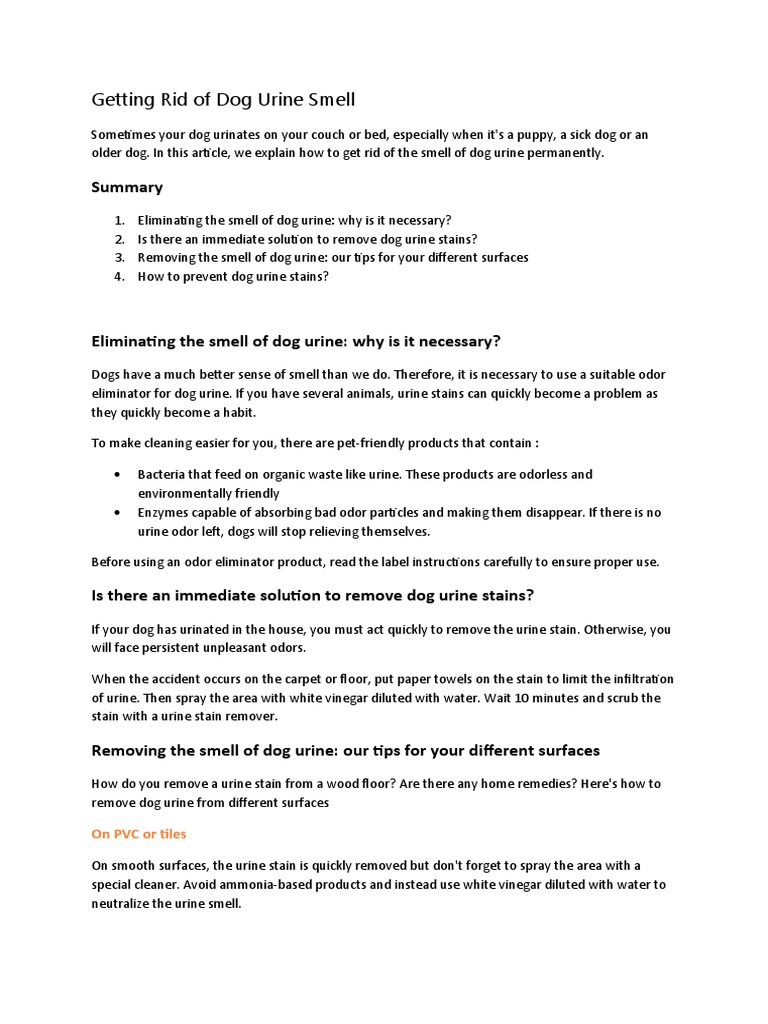 Getting Rid of The Smell of Dog Urine PDF Odor Urine