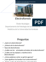 C. Electrophoresis and Its Types-Convertido ES