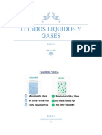 Ensayo de Fluidos Liquidos y Gases