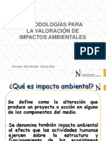 Metodologías Valoración de Impactos Ambientales