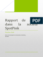 Extrait Du Rapport de Stage Chez Spotpink Paulina