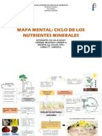 Mapa Mental Ciclo de Los Nutrientes Minerales