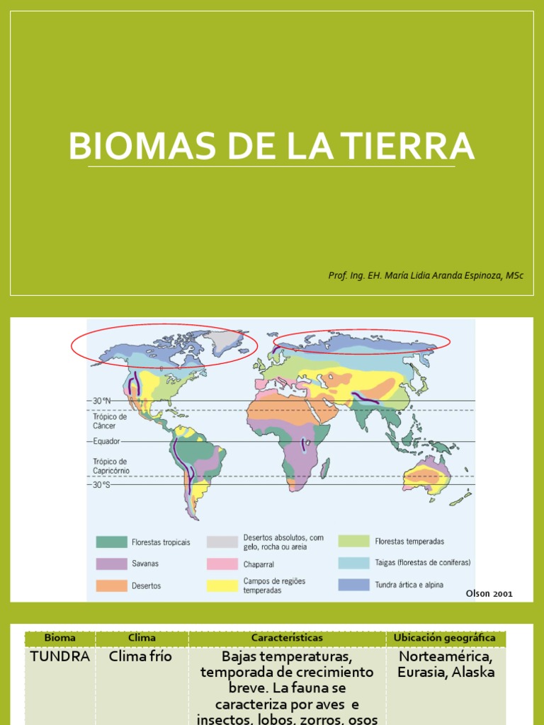 Presentación Biomas de La Tierra | PDF | Desierto | Clima