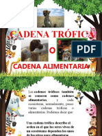 Cadena Trofica