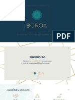Portafolio Boroa 2021