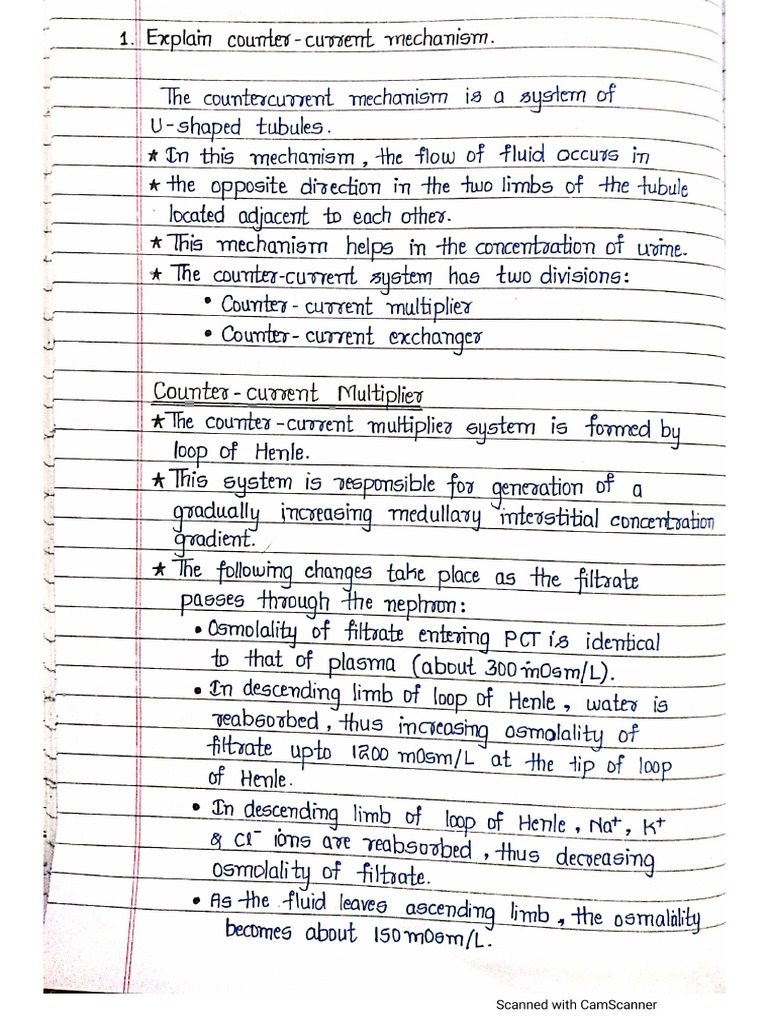 Counter Current Mechanism | PDF