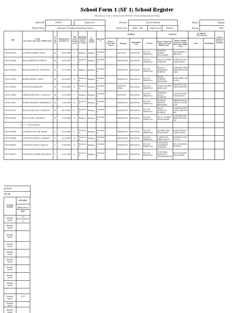 School Form 1 (SF 1) School Register | PDF | Ethnicity | Ethnic Groups