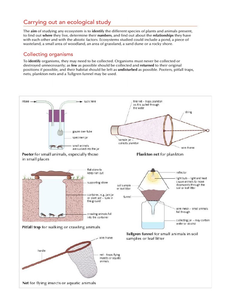Sampling CSEC Biology | PDF
