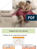 Acto Sexual Del Ser Humano