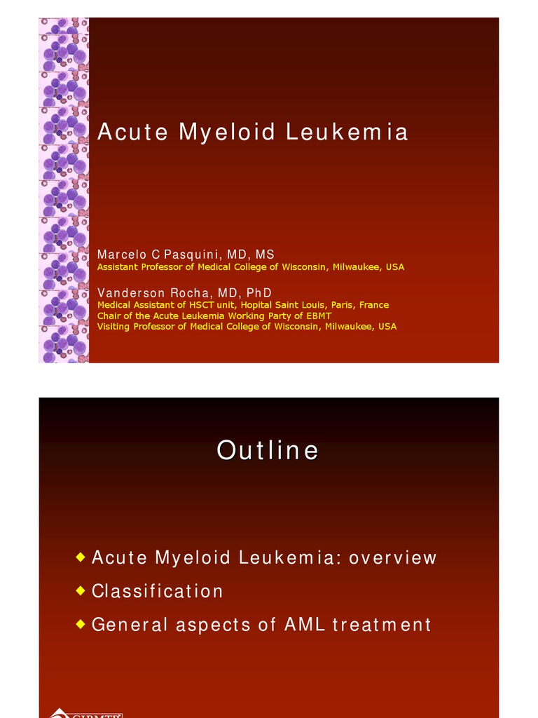 Acute Myeloid Leukemia Overview and Treatment | PDF | Hematopoietic ...