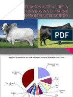 La ganadería bovina de carne en Bolivia y el mundo: Santa Cruz lidera el hato ganadero nacional
