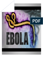 Ebola Education PowerPoint 2014