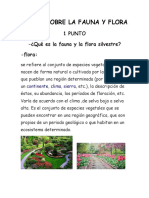 Taller Sobre La Fauna y Flora