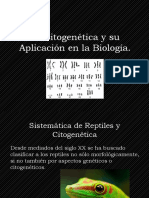 Citogenética Biologia