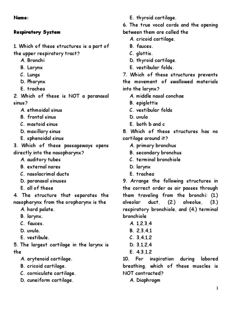 Respiratory System Quiz PDF Respiratory Tract Lung