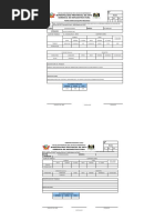 Formato de Partes Diarios