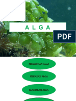 ALGA