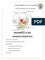 Desarrollo del aparato digestivo