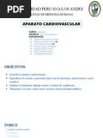 Netter Corazon | PDF | Ventrículo (corazón) | Corazón