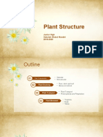 Plant Structure and Anatomy