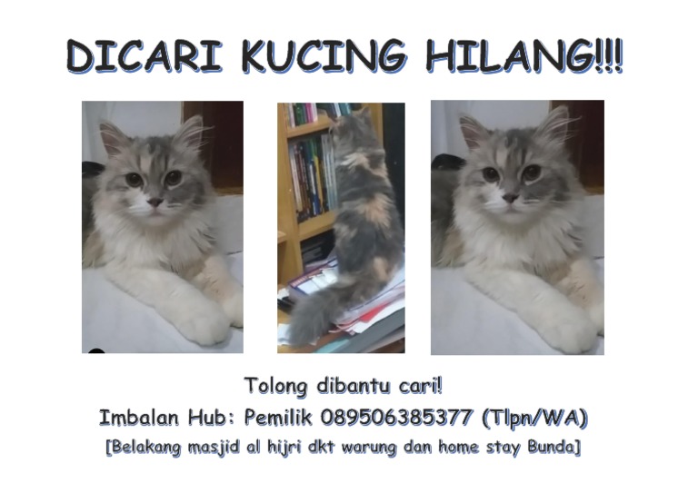 Contoh Poster Kehilangan Kucing  PDF