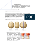 Índice cefálico: cómo calcular y clasificar las proporciones de la cabeza