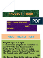 Project Tiger