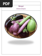 Brinjal: (Solanum Melongena)