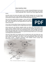 (Mid) Diktat Radiologi Dasar