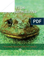 Fish and Amphibies