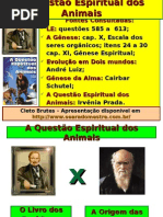 questoes epirituais animais