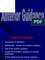 31. anterior_guidance