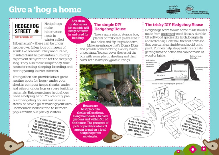 Hedgehog visual data 2