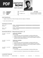 84-curriculum-vitae-modello-word
