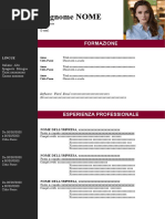 91 Curriculum Vitae Due Pagine