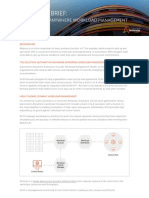 Solution Brief:: Automation Anywhere Workload Management