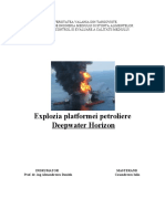 Explozia Platformei Petroliere Deep Horizon