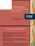 CAMBIOS METABOLICOS EN EL EMBARAZO - DR PAOLA RIVAS