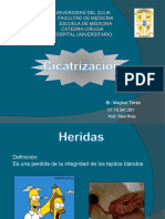 Cicatrizacion Maykol