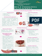 Anatomia y Fisiologia de La Placenta Infografia