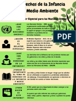 Version Amigable Derecho A Medio Ambiente